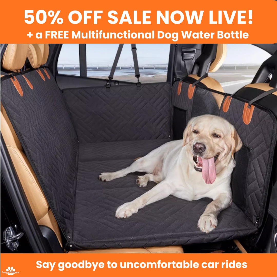 Furry Capers - Hard Bottom Dog Car Seat Protector