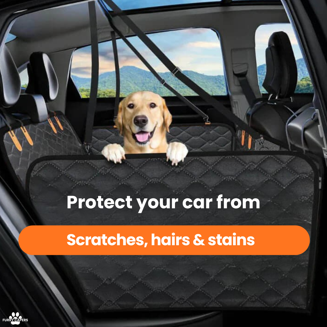 Furry Capers - Hard Bottom Dog Car Seat Protector